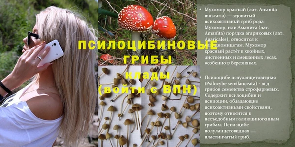 apvp Инсар