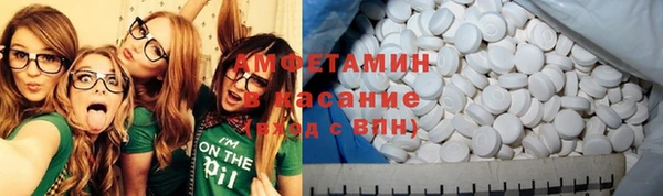 apvp Инсар