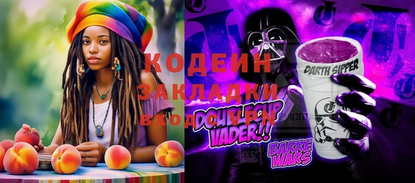 apvp Инсар