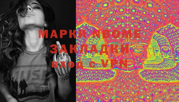 apvp Инсар