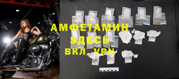 apvp Инсар
