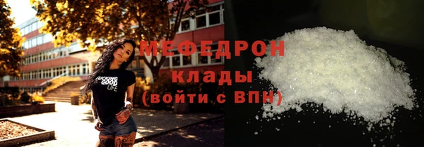 apvp Инсар
