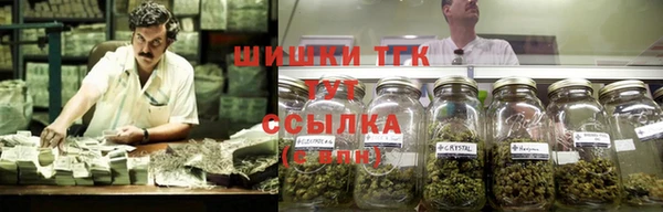apvp Инсар