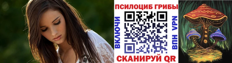 Галлюциногенные грибы Psilocybine cubensis  Купить  Великие Луки 